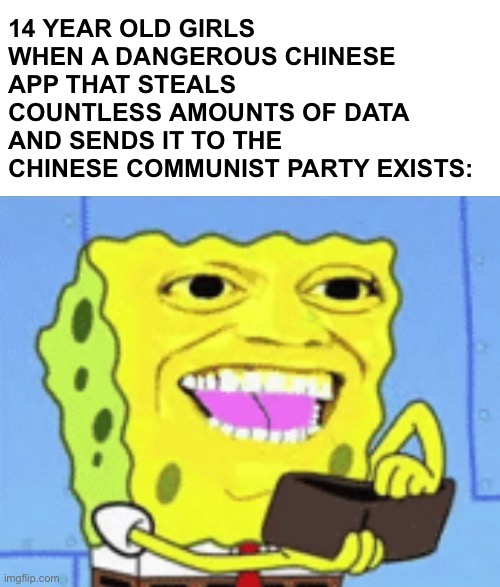 Spongebob Money | 14 YEAR OLD GIRLS WHEN A DANGEROUS CHINESE APP THAT STEALS COUNTLESS AMOUNTS OF DATA AND SENDS IT TO THE CHINESE COMMUNIST PARTY EXISTS: | image tagged in spongebob money,memes | made w/ Imgflip meme maker