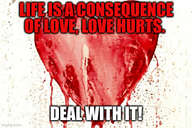 love | LIFE IS A CONSEQUENCE OF LOVE, LOVE HURTS. DEAL WITH IT! | image tagged in damaged heart | made w/ Imgflip meme maker