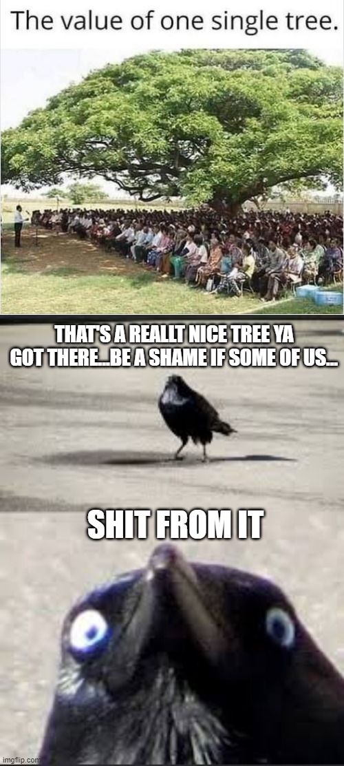 It May Be a Good Tree...But... | THAT'S A REALLT NICE TREE YA GOT THERE...BE A SHAME IF SOME OF US... SHIT FROM IT | image tagged in it would be a shame bird | made w/ Imgflip meme maker