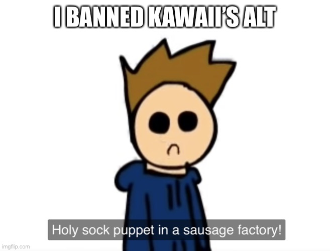 holy sock puppet in a sausage factory | I BANNED KAWAII’S ALT | image tagged in holy sock puppet in a sausage factory | made w/ Imgflip meme maker