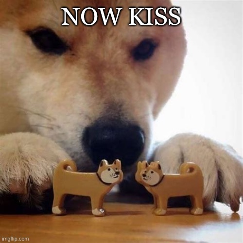 Shiba inu making toy dogs kiss | NOW KISS | image tagged in memes,doge,dogs | made w/ Imgflip meme maker