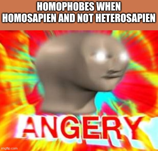 Surreal Angery | HOMOPHOBES WHEN HOMOSAPIEN AND NOT HETEROSAPIEN | image tagged in surreal angery | made w/ Imgflip meme maker