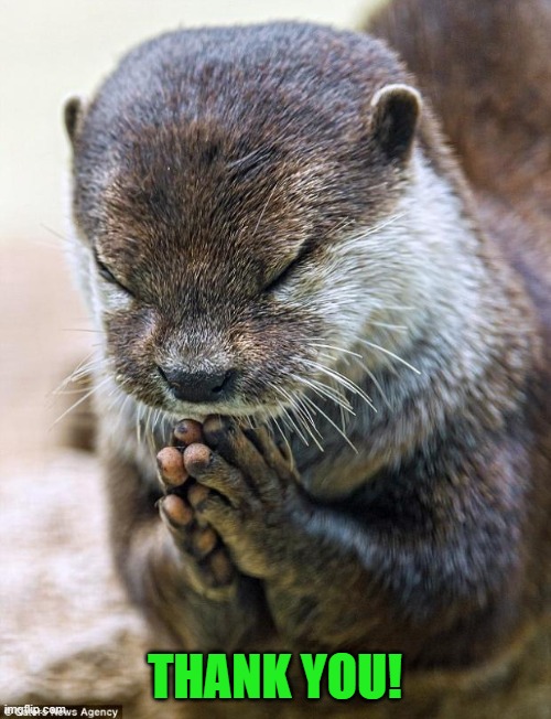 Thank you Lord Otter | THANK YOU! | image tagged in thank you lord otter | made w/ Imgflip meme maker