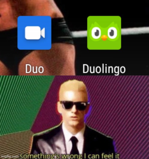 Who will reign supreme? | image tagged in something's wrong i can feel it,duolingo,duo,google duo | made w/ Imgflip meme maker