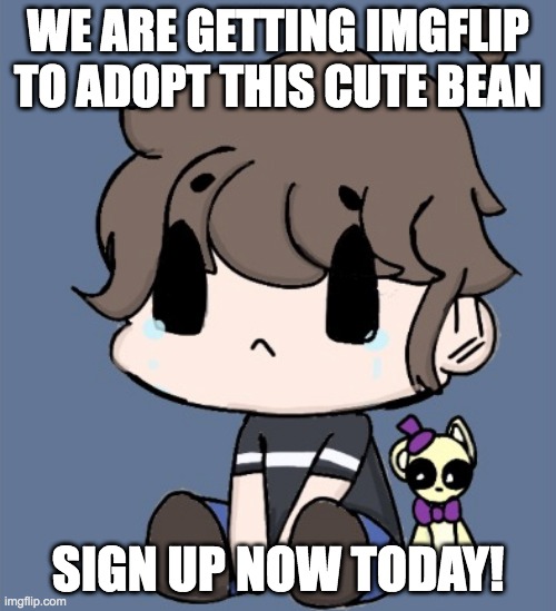 you can adopt by commenting "adopting" on this image | WE ARE GETTING IMGFLIP TO ADOPT THIS CUTE BEAN; SIGN UP NOW TODAY! | image tagged in cute,bean | made w/ Imgflip meme maker