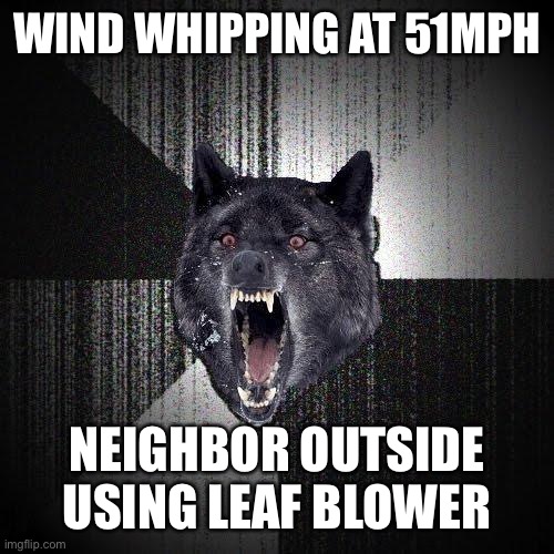 Leaf blowing neighbor | WIND WHIPPING AT 51MPH; NEIGHBOR OUTSIDE USING LEAF BLOWER | image tagged in memes,insanity wolf,blowing,whip,neighbor | made w/ Imgflip meme maker