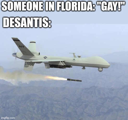 How the kef5 imagines Florida | SOMEONE IN FLORIDA: "GAY!"; DESANTIS: | image tagged in drone | made w/ Imgflip meme maker