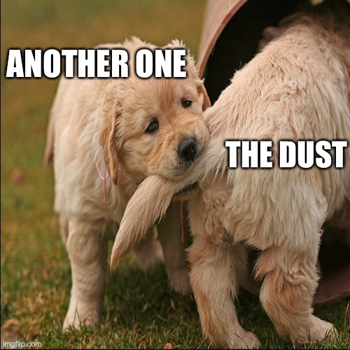 Does anyone get this?? | ANOTHER ONE; THE DUST | image tagged in queen | made w/ Imgflip meme maker