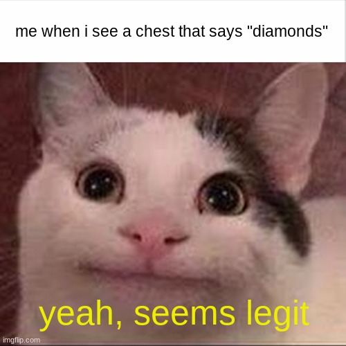 me when i see a chest that says "diamonds"; yeah, seems legit | image tagged in i am once again asking | made w/ Imgflip meme maker