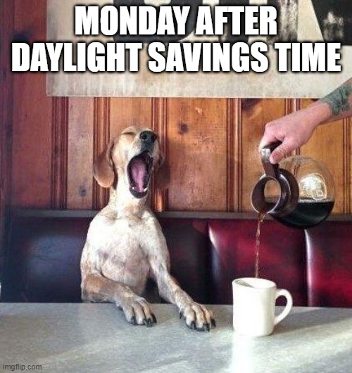 Monday after daylight savings time | MONDAY AFTER DAYLIGHT SAVINGS TIME | image tagged in dog coffee tired | made w/ Imgflip meme maker