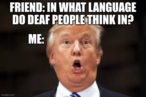 YO | FRIEND: IN WHAT LANGUAGE DO DEAF PEOPLE THINK IN? ME: | image tagged in crazy | made w/ Imgflip meme maker
