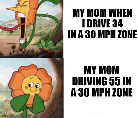Driving with the parents be like |  MY MOM WHEN I DRIVE 34 IN A 30 MPH ZONE; MY MOM DRIVING 55 IN A 30 MPH ZONE | image tagged in cagney carnation | made w/ Imgflip meme maker