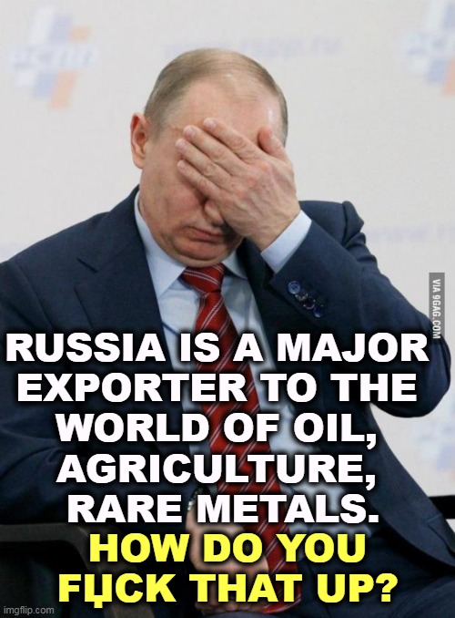 Putin is the richest man in the world. It doesn't mean everything has to go his way. | RUSSIA IS A MAJOR 
EXPORTER TO THE 
WORLD OF OIL, 
AGRICULTURE, 
RARE METALS. HOW DO YOU FЏCK THAT UP? | image tagged in putin facepalm,putin,economy,disaster | made w/ Imgflip meme maker