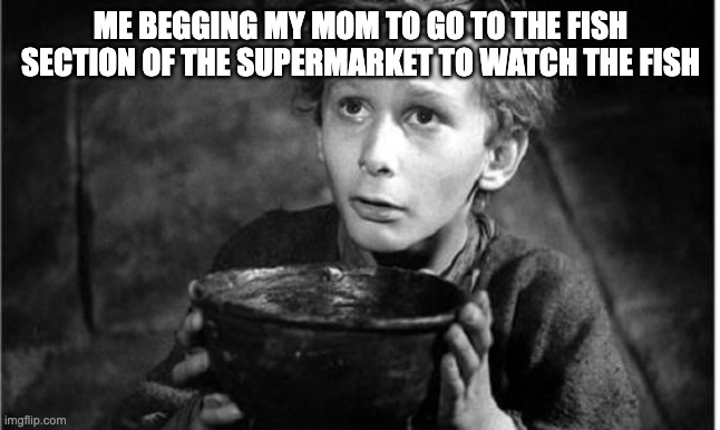 fishy |  ME BEGGING MY MOM TO GO TO THE FISH SECTION OF THE SUPERMARKET TO WATCH THE FISH | image tagged in begging | made w/ Imgflip meme maker