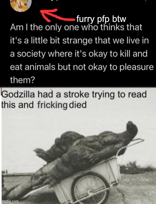 Funeral on Tuesday | furry pfp btw | image tagged in godzilla had a stroke trying to read this and fricking died | made w/ Imgflip meme maker