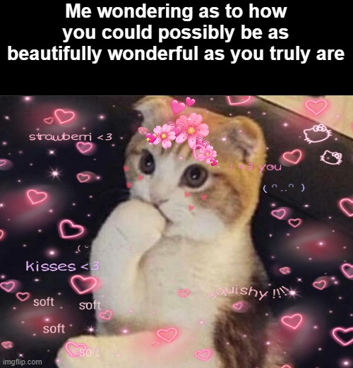 Me wondering as to how you could possibly be as beautifully wonderful as you truly are | image tagged in thinking cat,cats,i love you,wait a second this is wholesome content,wholesome,wholesome 100 | made w/ Imgflip meme maker