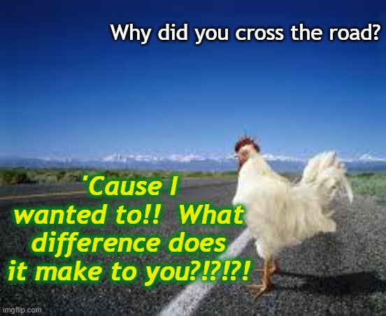 Why the chicken Cross the road | Why did you cross the road? 'Cause I wanted to!!  What difference does it make to you?!?!?! | image tagged in why the chicken cross the road | made w/ Imgflip meme maker