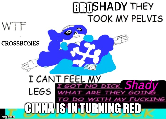 Shady they took my pelvis | BRO; CINNA IS IN TURNING RED | image tagged in shady they took my pelvis | made w/ Imgflip meme maker