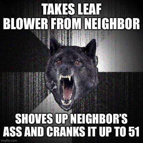 Leaf blower blowout | TAKES LEAF BLOWER FROM NEIGHBOR; SHOVES UP NEIGHBOR’S ASS AND CRANKS IT UP TO 51 | image tagged in memes,insanity wolf,ass,neighbors | made w/ Imgflip meme maker