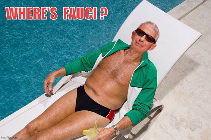 WHERE'S  FAUCI ? | image tagged in fauci,covid | made w/ Imgflip meme maker