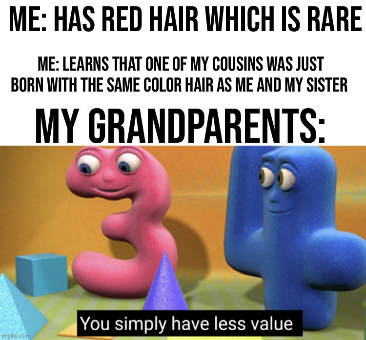 This literally happened to me 7 months ago |  ME: HAS RED HAIR WHICH IS RARE; ME: LEARNS THAT ONE OF MY COUSINS WAS JUST BORN WITH THE SAME COLOR HAIR AS ME AND MY SISTER; MY GRANDPARENTS: | image tagged in you simply have less value,memes,funny,hair,grandparents,true story | made w/ Imgflip meme maker