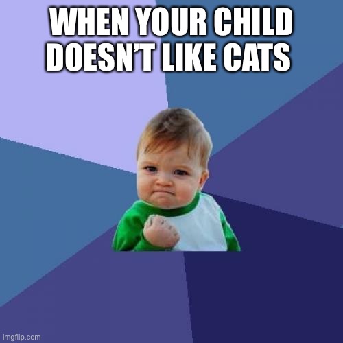 Success Kid | WHEN YOUR CHILD DOESN’T LIKE CATS 🐈 | image tagged in memes,success kid | made w/ Imgflip meme maker