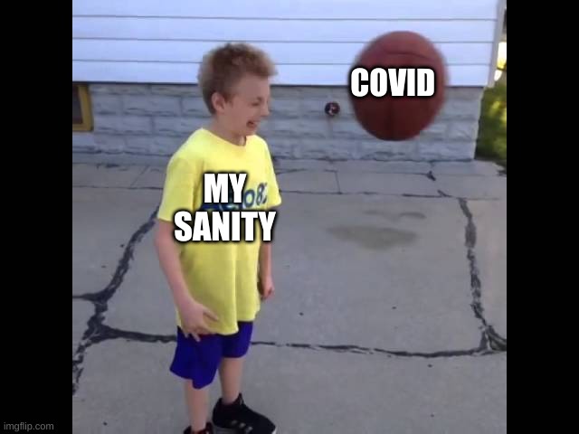 covid | COVID; MY SANITY | image tagged in covid-19 | made w/ Imgflip meme maker