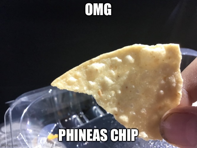 Phineas chip | OMG; PHINEAS CHIP | image tagged in phineas chip | made w/ Imgflip meme maker