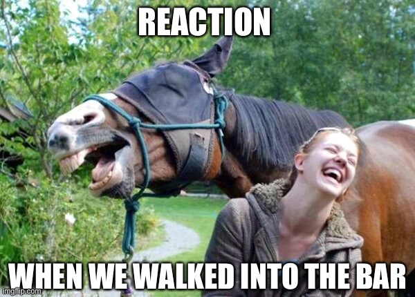 A horse and rider walked into a bar | REACTION; WHEN WE WALKED INTO THE BAR | image tagged in laughing horse,bar,dad joke,long face | made w/ Imgflip meme maker