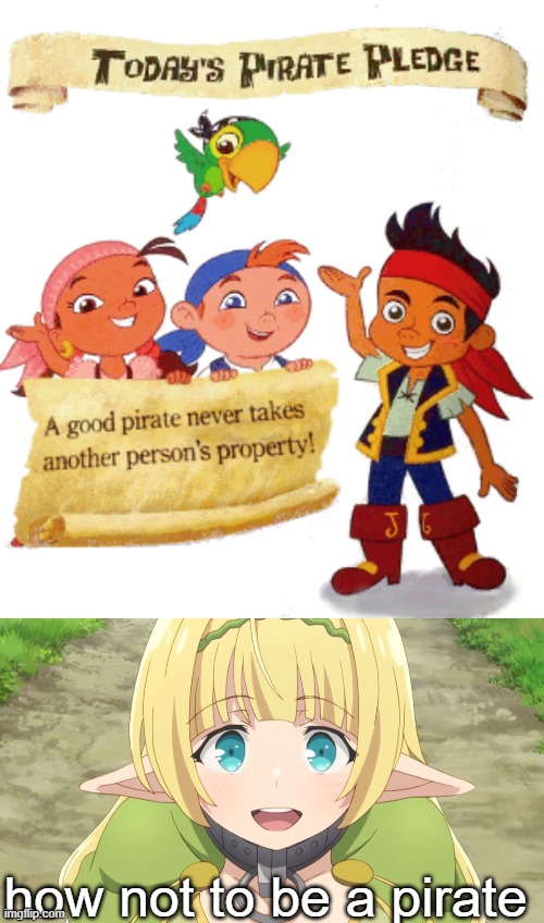 I get that they're reffering to pirates as people who AREN'T pirates but out of all the shows they chose, they picked a show ABO | how not to be a pirate | image tagged in shera greenwood - how not to summon a demon lord | made w/ Imgflip meme maker