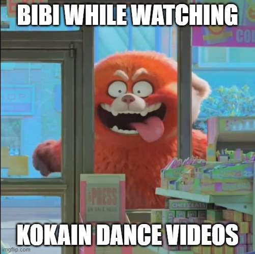  BIBI WHILE WATCHING; KOKAIN DANCE VIDEOS | image tagged in watching,streams | made w/ Imgflip meme maker