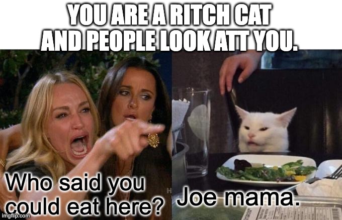 Woman Yelling At Cat Meme | YOU ARE A RITCH CAT AND PEOPLE LOOK ATT YOU. Who said you could eat here? Joe mama. | image tagged in memes,woman yelling at cat | made w/ Imgflip meme maker