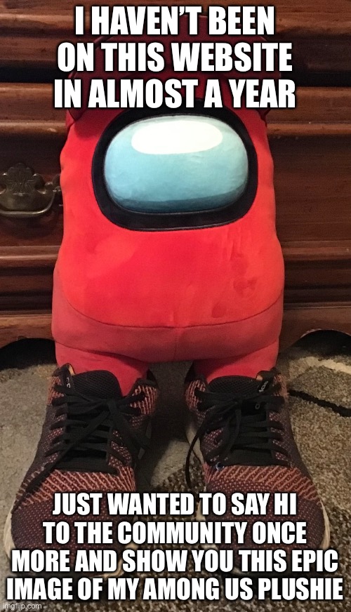 Hi again! | I HAVEN’T BEEN ON THIS WEBSITE IN ALMOST A YEAR; JUST WANTED TO SAY HI TO THE COMMUNITY ONCE MORE AND SHOW YOU THIS EPIC IMAGE OF MY AMONG US PLUSHIE | image tagged in among us | made w/ Imgflip meme maker