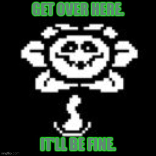 Flowey | GET OVER HERE. IT'LL BE FINE. | image tagged in flowey | made w/ Imgflip meme maker