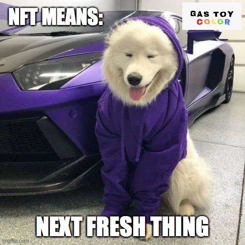 GASTOYCOLOR | NFT MEANS:; NEXT FRESH THING | image tagged in nft,crypto,lambo | made w/ Imgflip meme maker