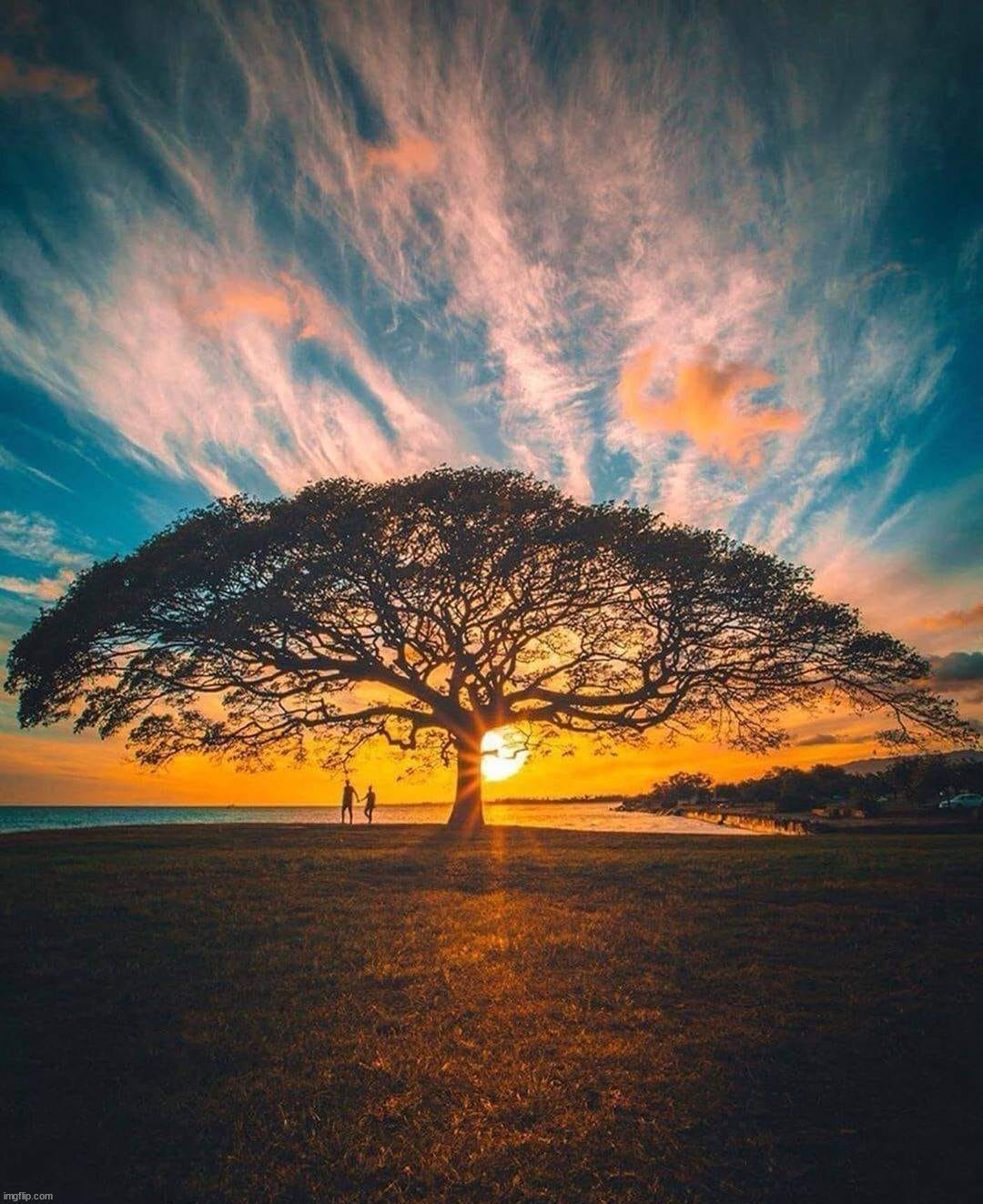 image tagged in awesome | made w/ Imgflip meme maker