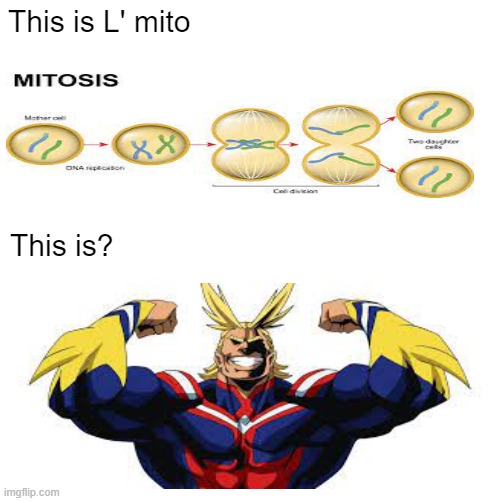 Leave answer in comments | This is L' mito; This is? | image tagged in anime meme,mha | made w/ Imgflip meme maker