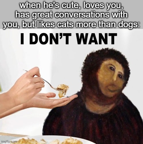 . | when he's cute, loves you, has great conversations with you, but likes cats more than dogs: | made w/ Imgflip meme maker