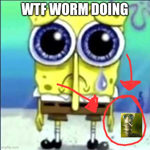 Wtf worm doing | WTF WORM DOING | image tagged in sad spongebob | made w/ Imgflip meme maker