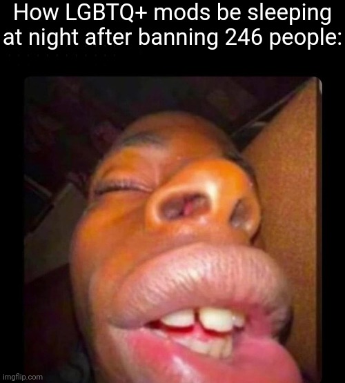 black dude sleeping | How LGBTQ+ mods be sleeping at night after banning 246 people: | image tagged in black dude sleeping | made w/ Imgflip meme maker