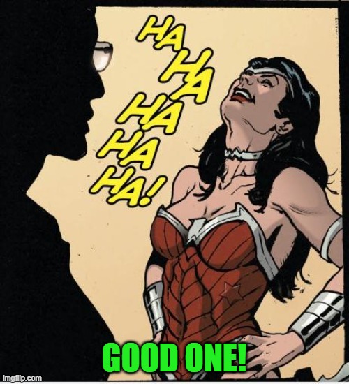 wonder woman | GOOD ONE! | image tagged in wonder woman | made w/ Imgflip meme maker