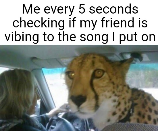 Me every 5 seconds checking if my friend is vibing to the song I put on | image tagged in memes | made w/ Imgflip meme maker