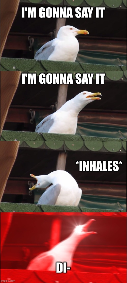 Imma say it! | I'M GONNA SAY IT; I'M GONNA SAY IT; *INHALES*; DI- | image tagged in memes,inhaling seagull | made w/ Imgflip meme maker
