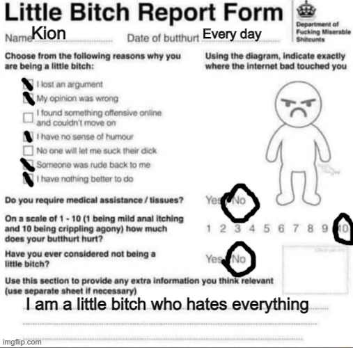 Little bitch report form | Kion; Every day; I am a little bitch who hates everything | image tagged in little bitch report form,memes,the lion guard | made w/ Imgflip meme maker