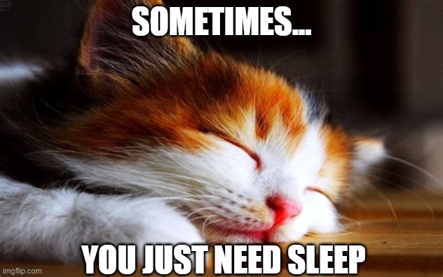take a rest. | SOMETIMES... YOU JUST NEED SLEEP | image tagged in cats,funny,memes | made w/ Imgflip meme maker