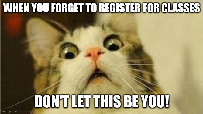 Funny animals | WHEN YOU FORGET TO REGISTER FOR CLASSES; DON'T LET THIS BE YOU! | image tagged in funny animals | made w/ Imgflip meme maker