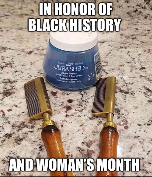 memes | IN HONOR OF BLACK HISTORY; AND WOMAN’S MONTH | image tagged in memes | made w/ Imgflip meme maker