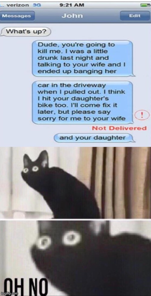 this could not have ended well | image tagged in oh no cat,dark humor | made w/ Imgflip meme maker