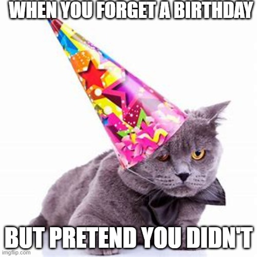 WHEN YOU FORGET A BIRTHDAY; BUT PRETEND YOU DIDN'T | image tagged in birthday,cat,uhhhh,idk | made w/ Imgflip meme maker