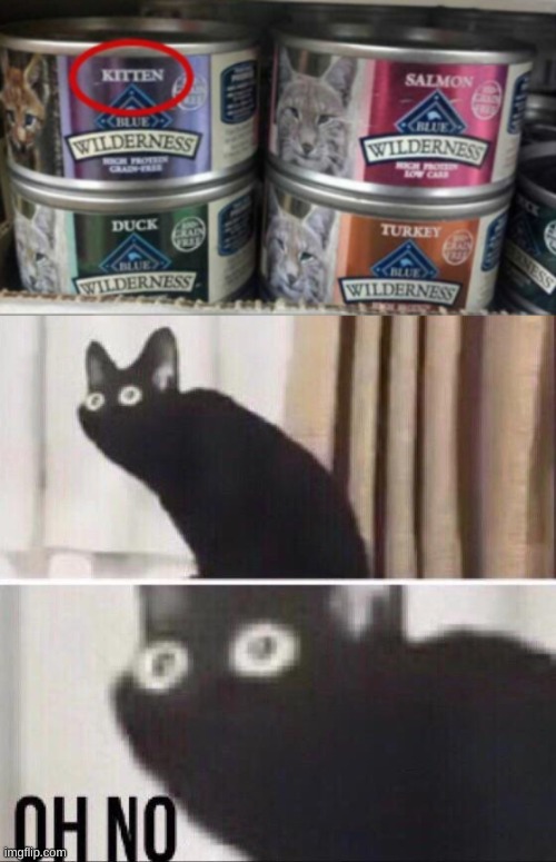 cannibal cat | image tagged in oh no cat,funny,memes,funny memes,barney will eat all of your delectable biscuits,cats | made w/ Imgflip meme maker